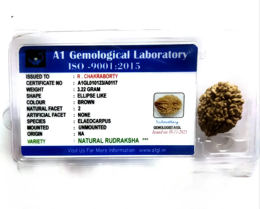 Natural Rudraksha with A1 Gemological Laboratory certificate