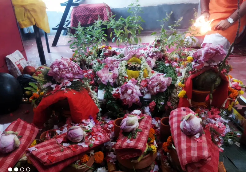 Puja offerings arranged for a ritual
